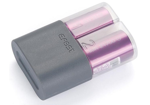 Efest Battery Case 2 Slot 21700